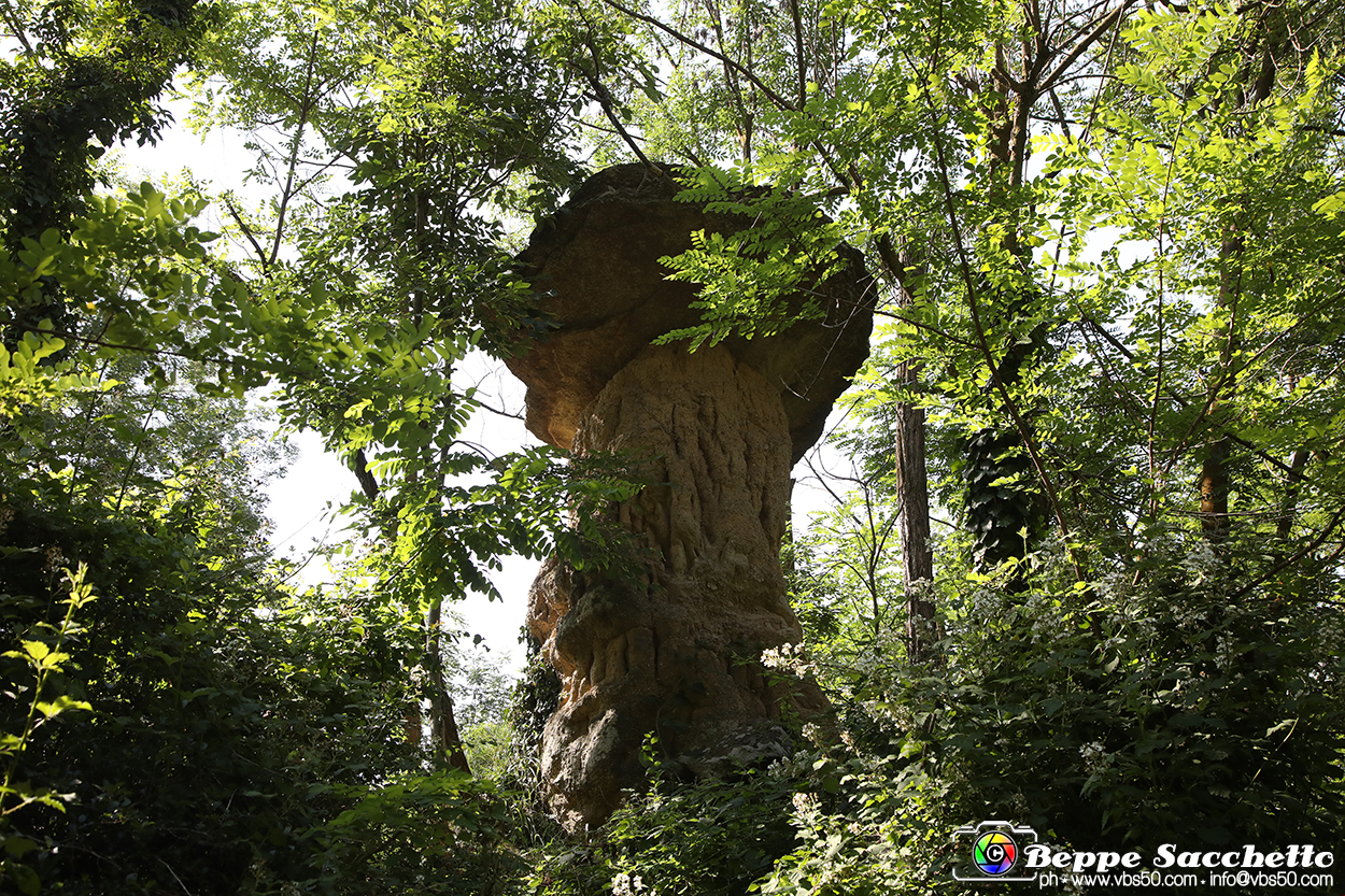 VBS_8930 - I Ciciu del Villar. Villar San Costanzo. Val Maira (Cuneo).jpg